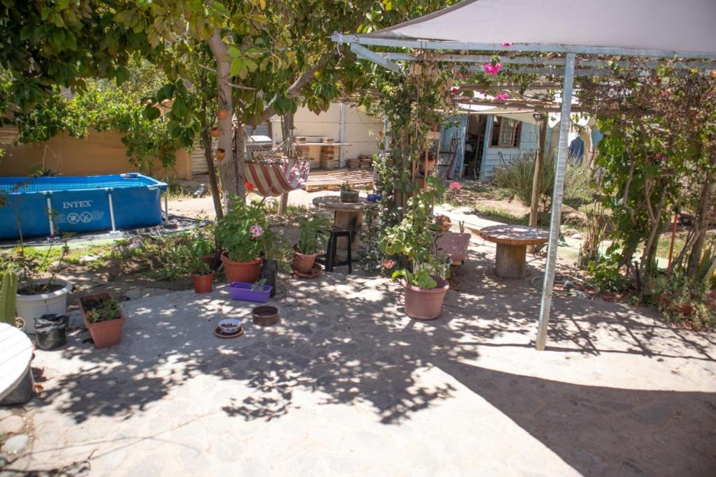 La Huerta photo 4