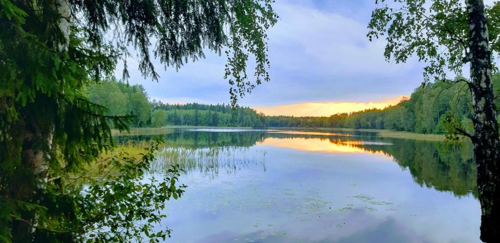 Vidūnų sodyba photo 1