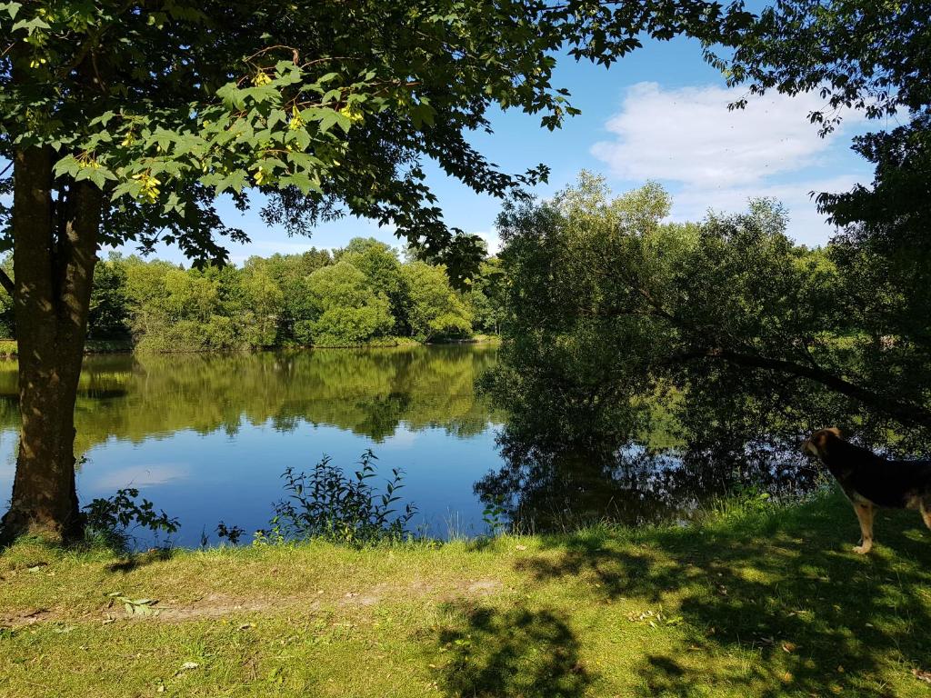 Chalet "Waldhauszeit" am See photo 2
