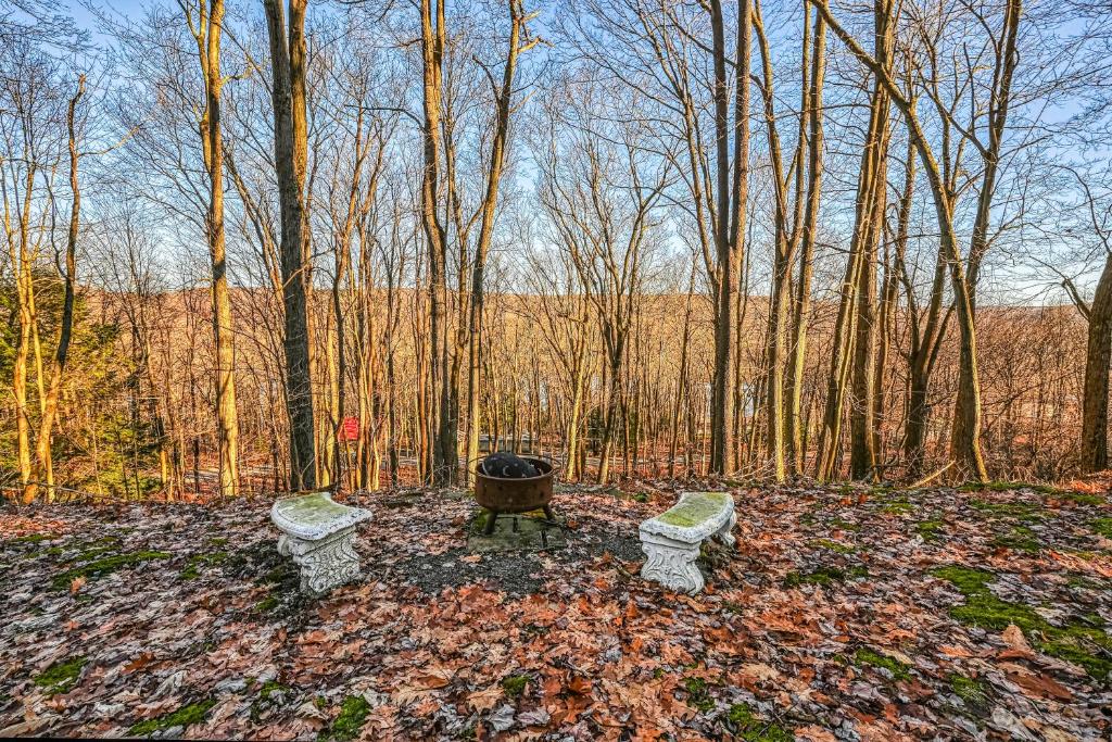 Birdhouse Lodge photo 1