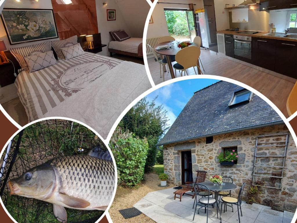 Gîte Alexain, 2 pièces, 3 personnes - FR-1-600-9