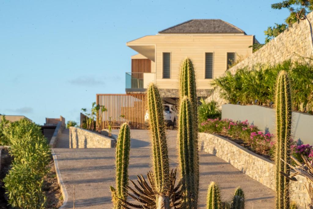Les villas de Sweet Hill photo 3