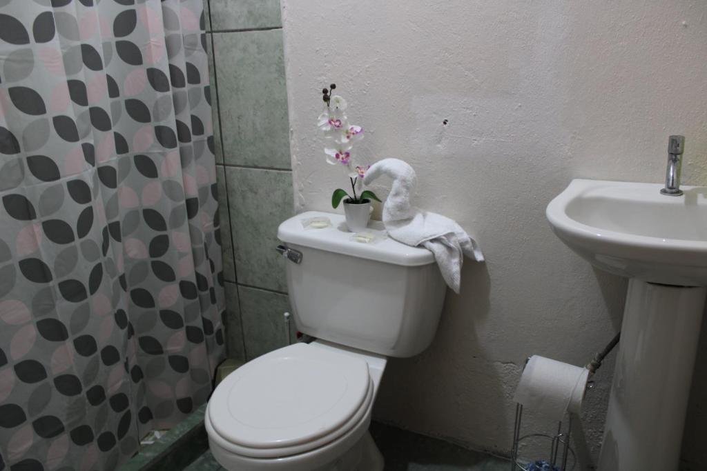 Apartamentos Mary photo 1