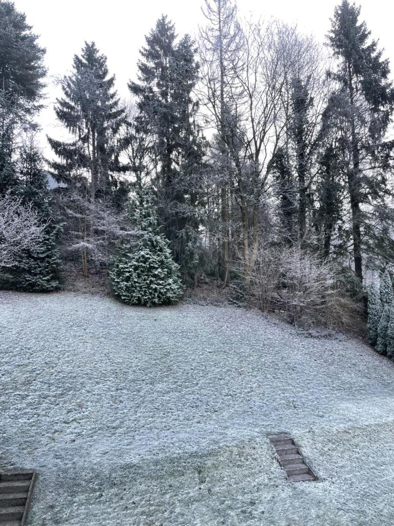Bergstadthütte Harz photo 3