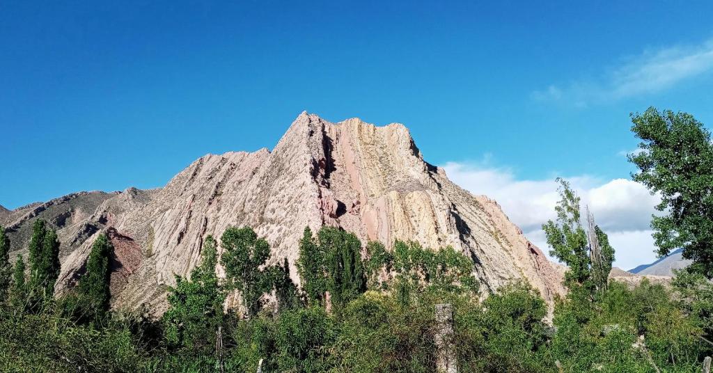 Cabaña Flor de Cardón-Juella. photo 4