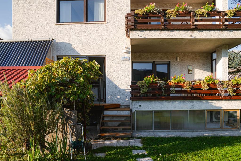 Apartma BoLeRo photo 2