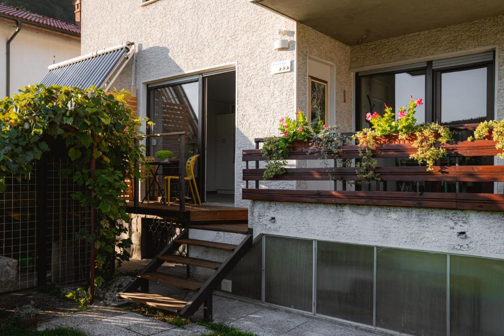 Apartma BoLeRo photo 4