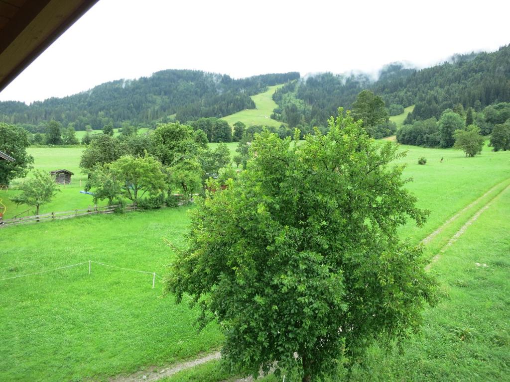 Ferienwohnungen Marchanger photo 4