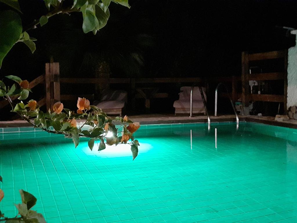 Coral Riviera Sardinia villa & cottage