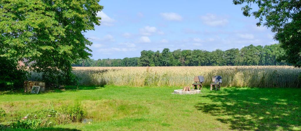 Landhäuschen Anderswo photo 4