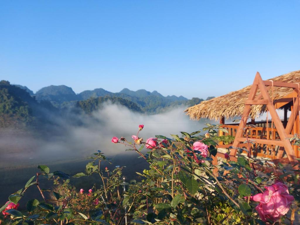 Mộc Châu Peachy Garden Homestay