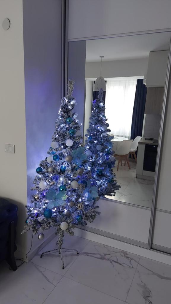 Luxury Apartment IVA photo 2