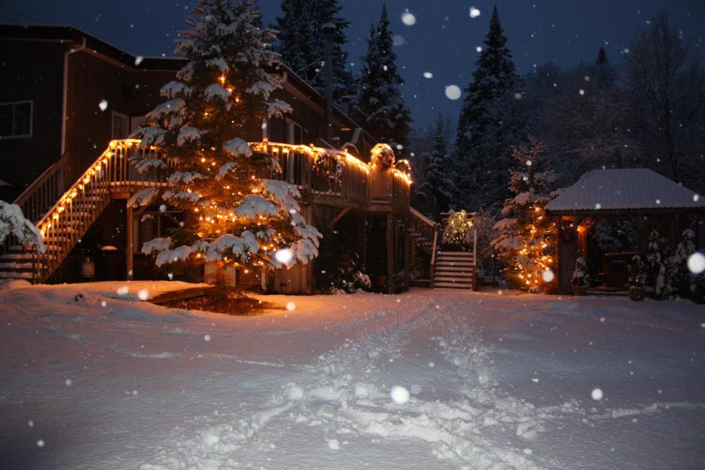 Chalets et Studios Le Vent Du Nord photo 1