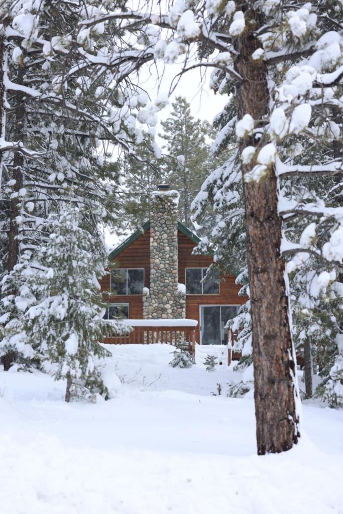 Cabin in the National Forest near Brian Head, Bryce Canyon and Zion image