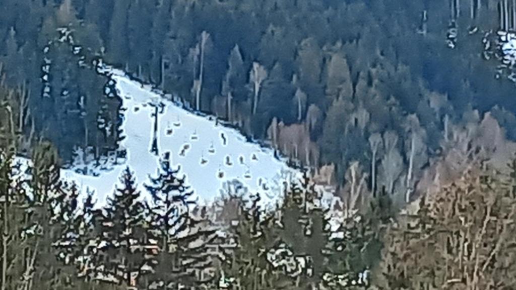 Veghouse - Penzion u pláže photo 3