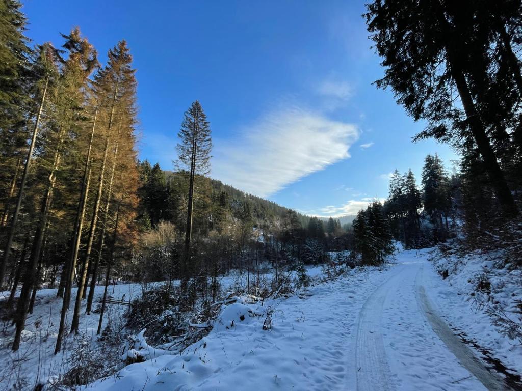 Sauerland Lodge ski & mountainbike park in nature photo 1