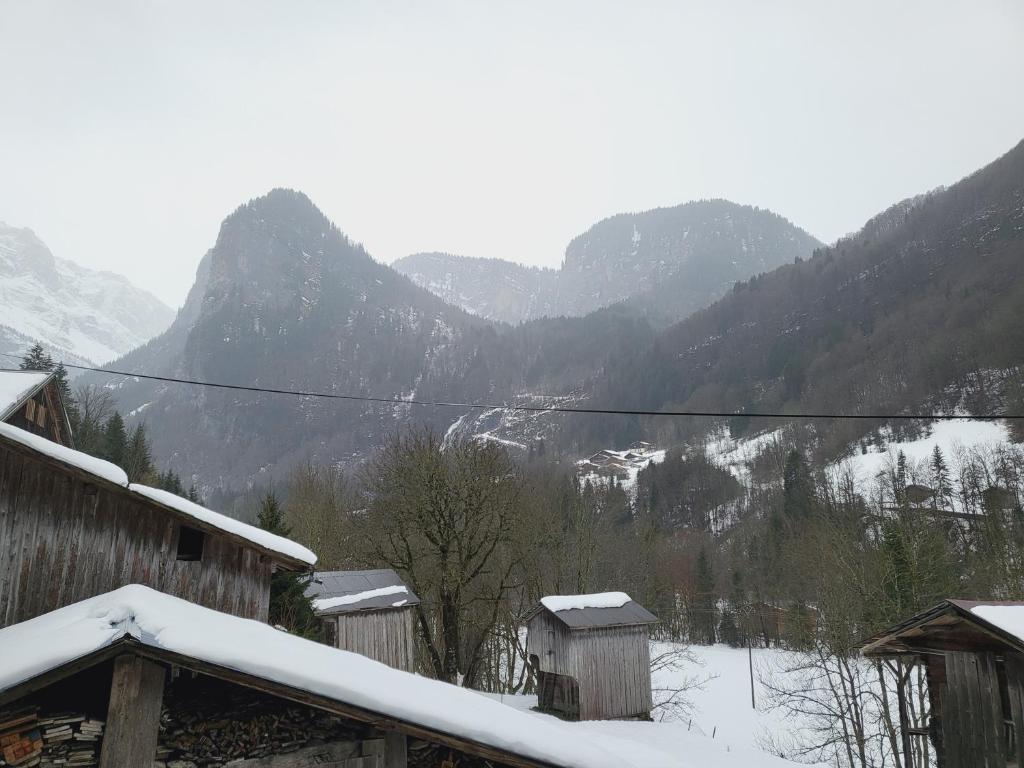 La Ferme De Fernand photo 3