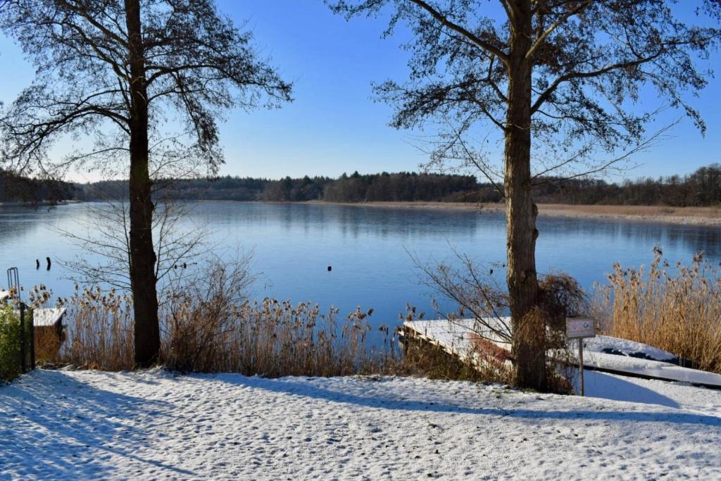 Modernes Ferienhaus mit Kamin und Sauna am Altdorfer See, Hunde sind herzlich Willkommen photo 3