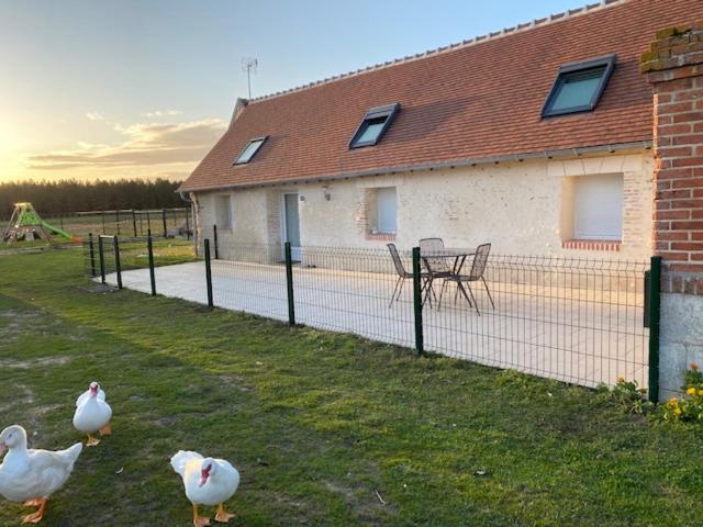La maison des canards photo 1
