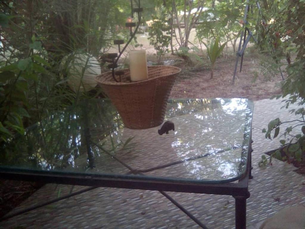 Lovely 3-Bdrm Cottage w Private Patios Pkg Sanyang photo 1