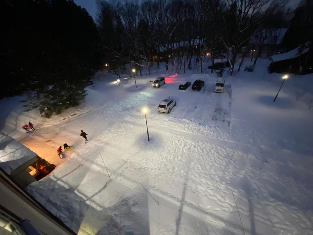 Hakuba Grand Apartments photo 2