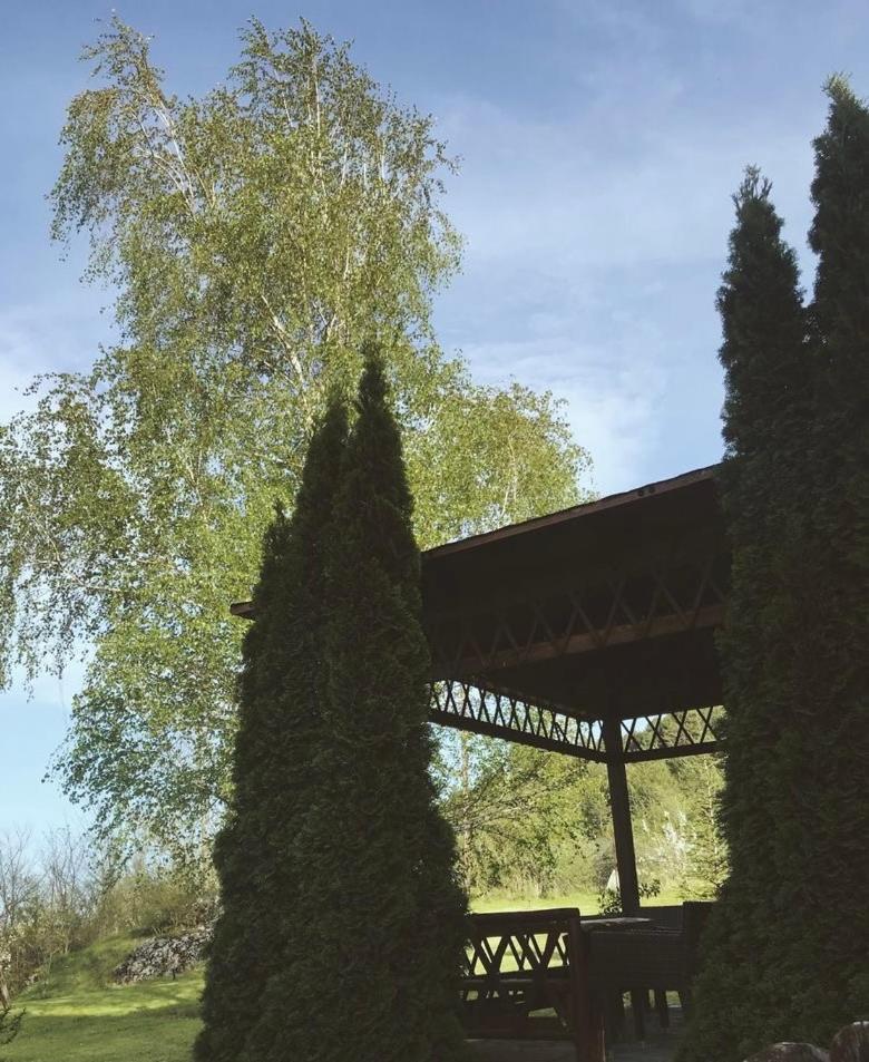 Villa Alexandra photo 1