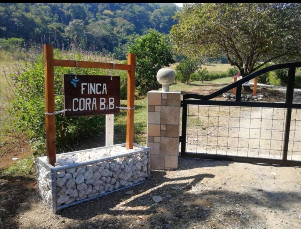 Casa Cora Bed and Breakfast photo 3