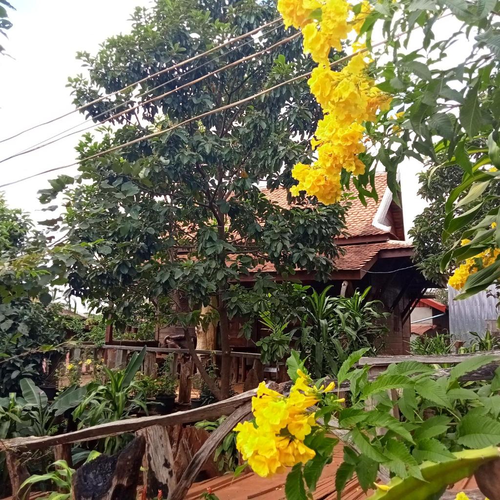 Ratanak Tep Rithea homestay photo 1