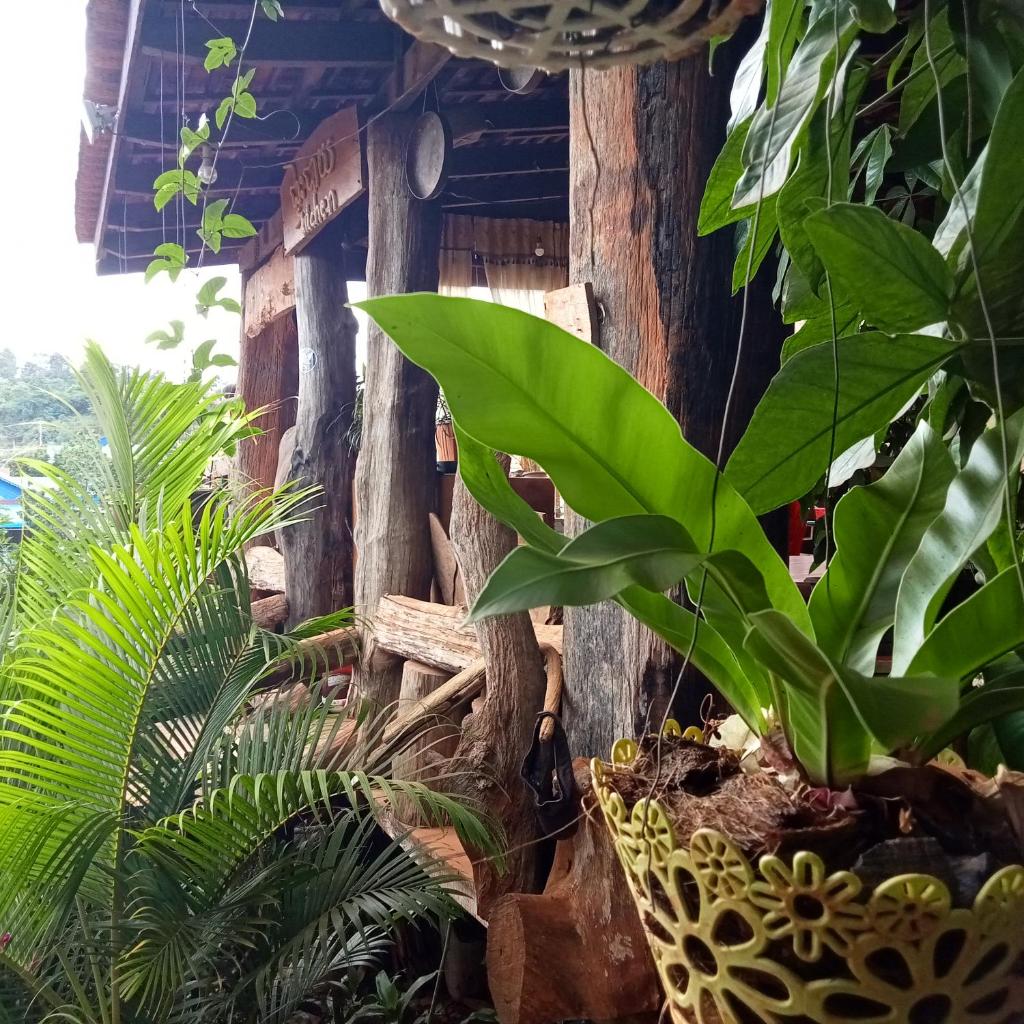 Ratanak Tep Rithea homestay photo 4