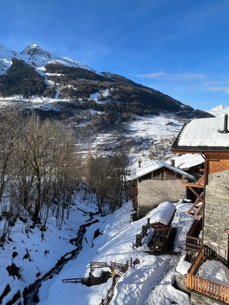 Chalet Altus photo 1