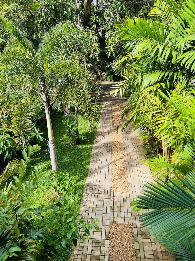 Yala Southern Homestay photo 4
