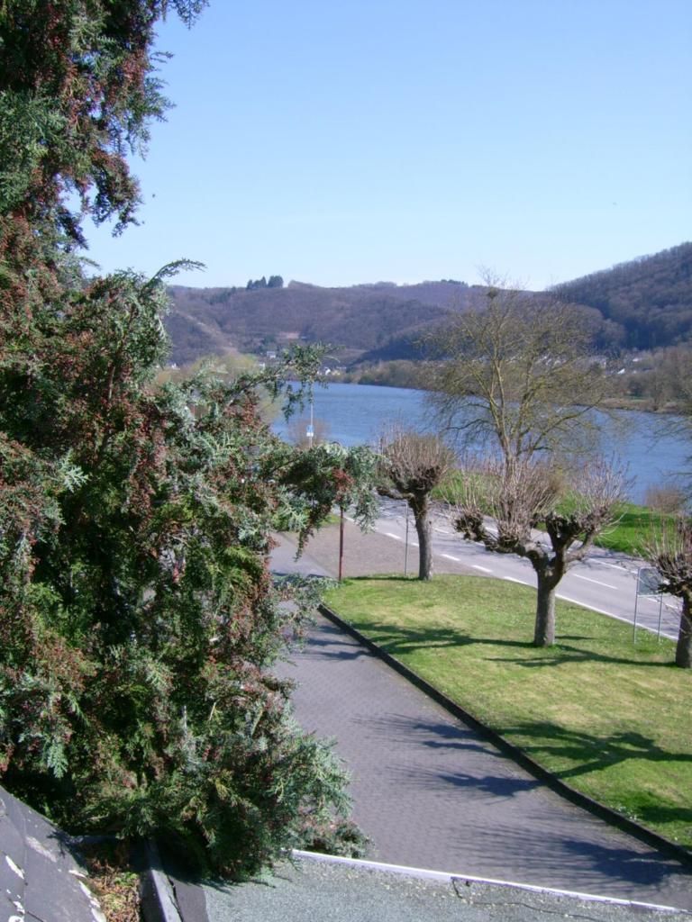 Gasthaus Zur Traube photo 1