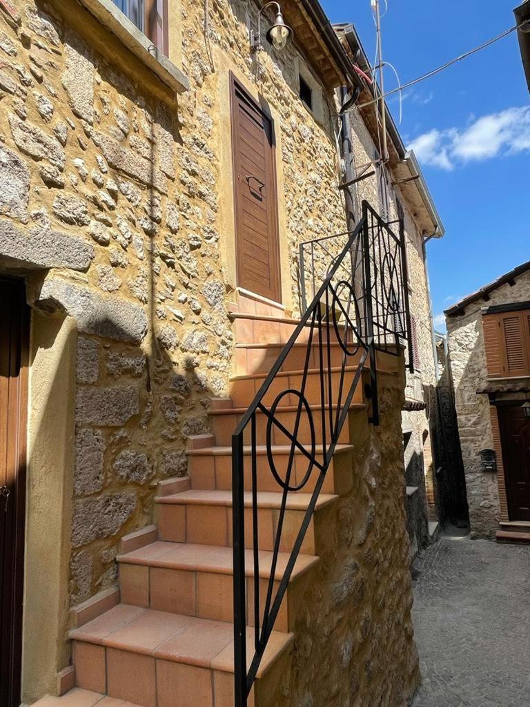Il castagno photo 1