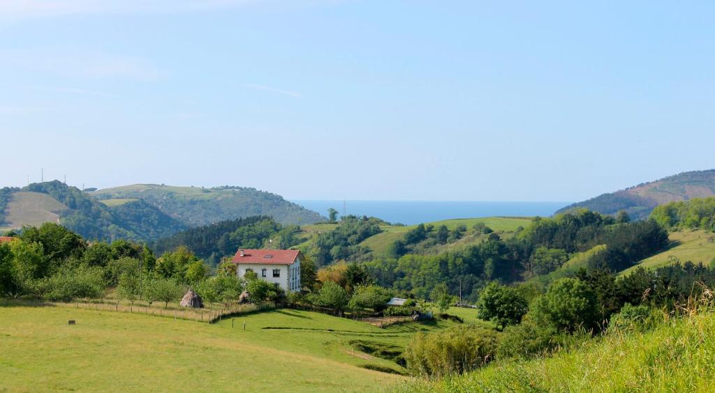 Olaskoaga Goikoa photo 1