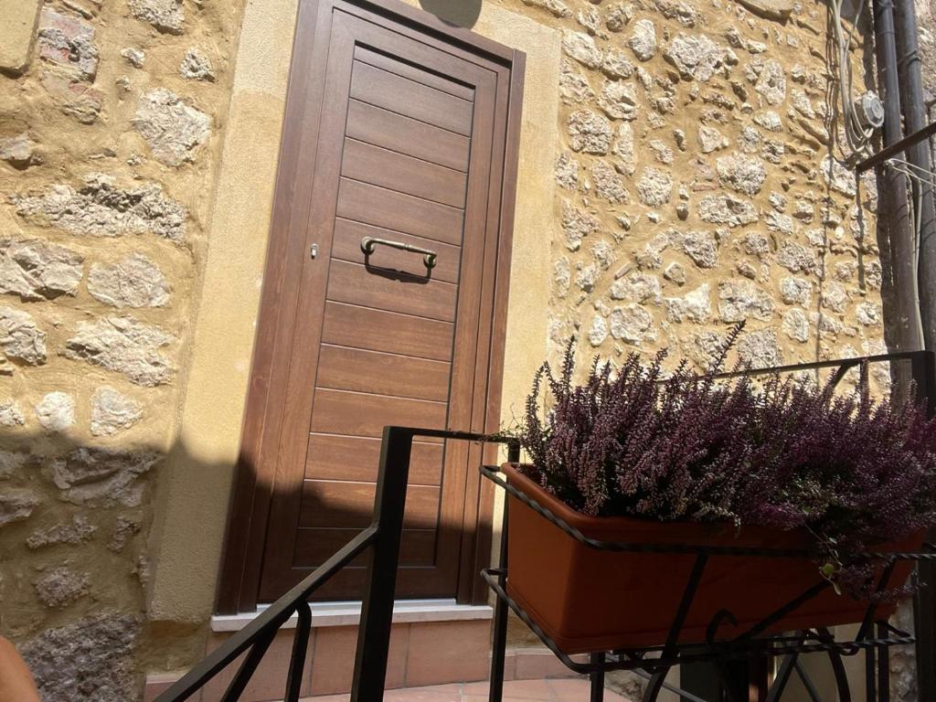 Il castagno photo 2