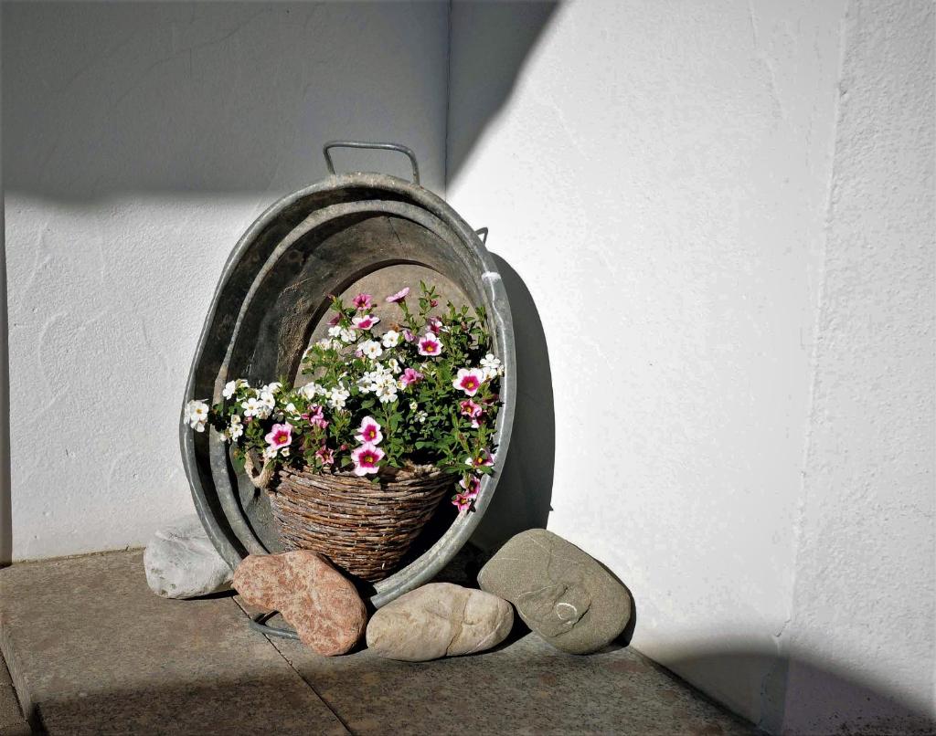 Ammervital - Apartments photo 3