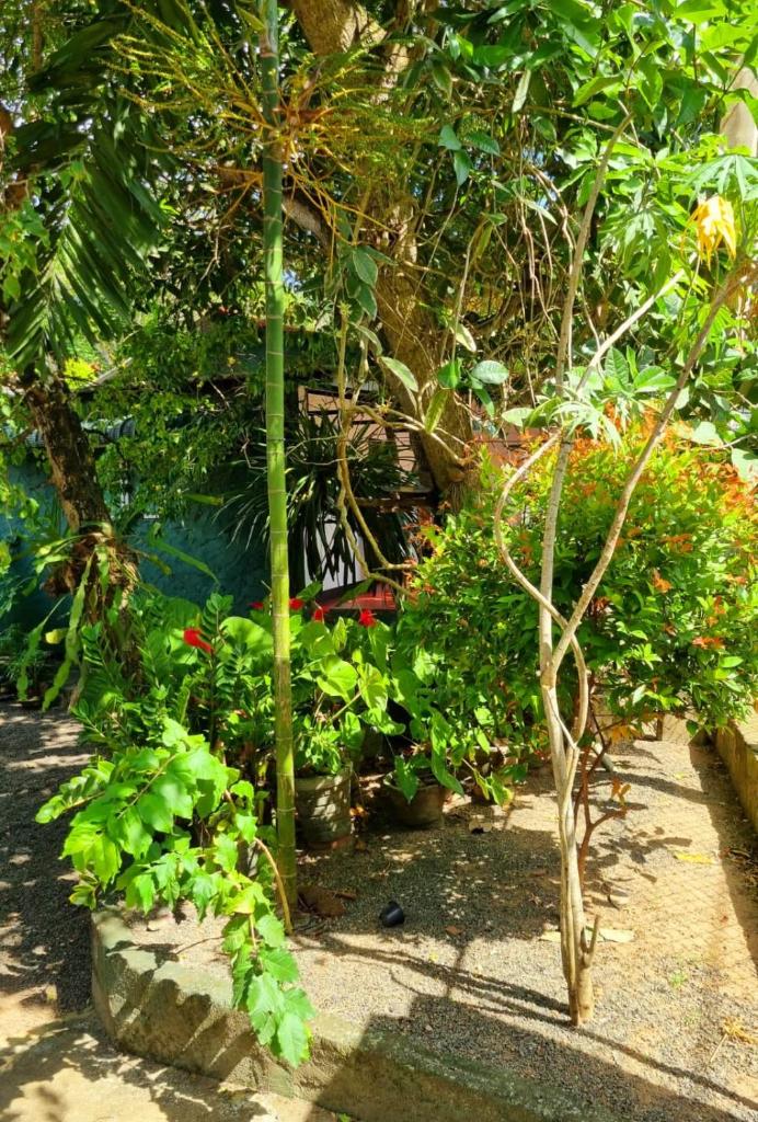 Helena Holiday Cottage photo 4