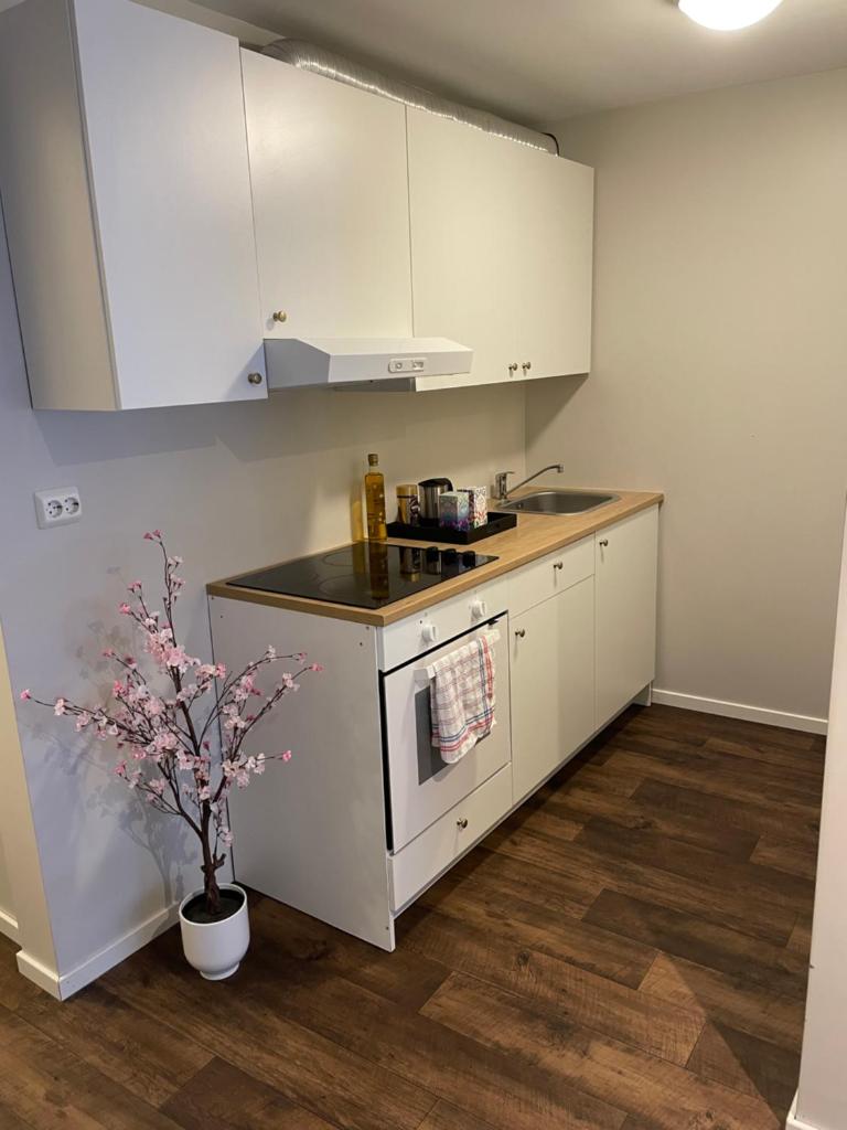 Central Studio Apartment photo 4