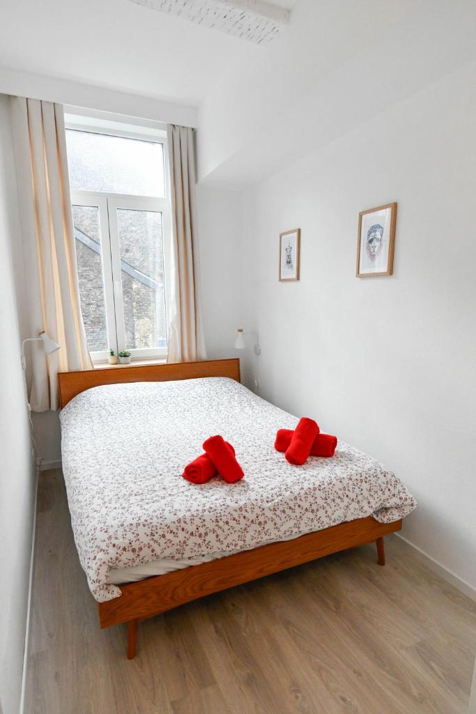 Les Cerisiers - Appartement Cosy au Centre de Namur photo 4
