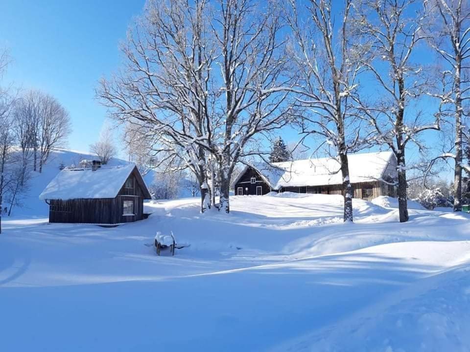 Kullipera Holiday House in Haanja photo 4