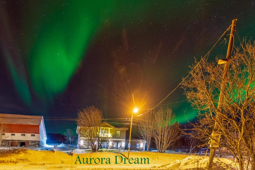 Aurora Dream photo 2