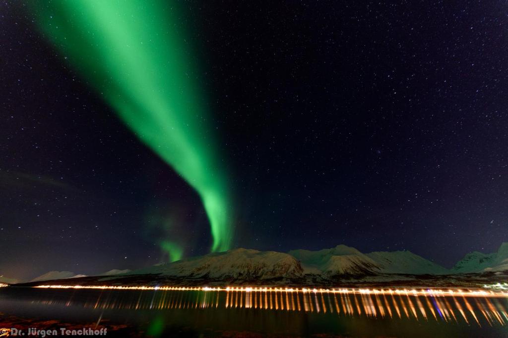 Aurora Dream photo 1
