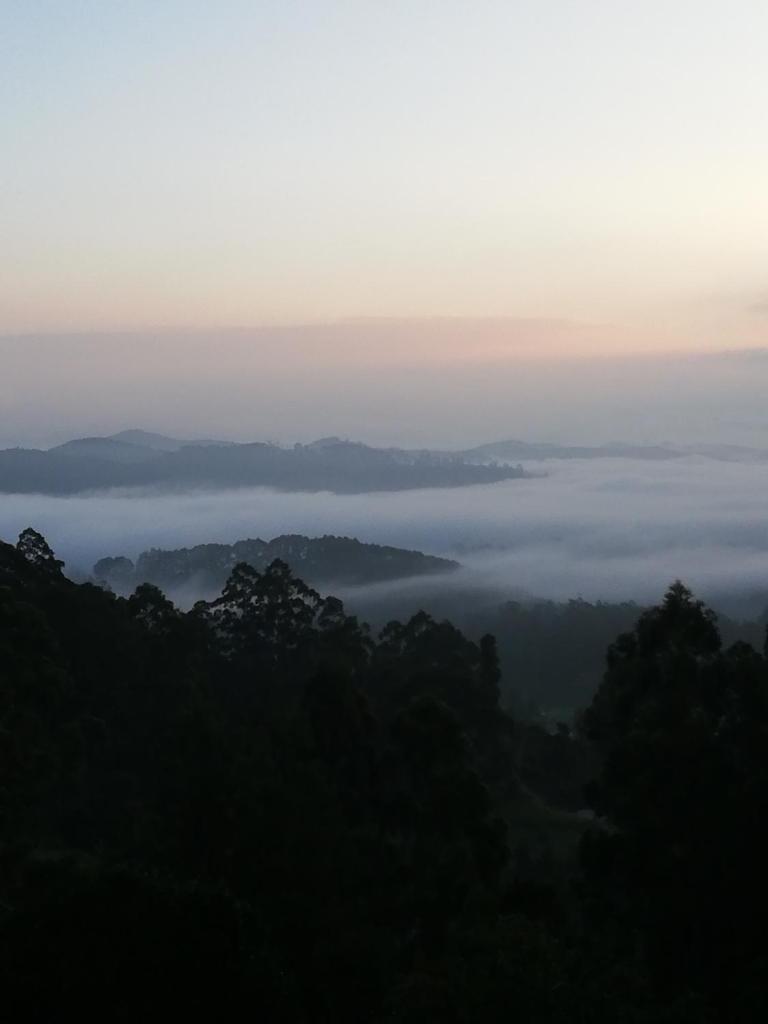 Ohiya Mount Plaza photo 4