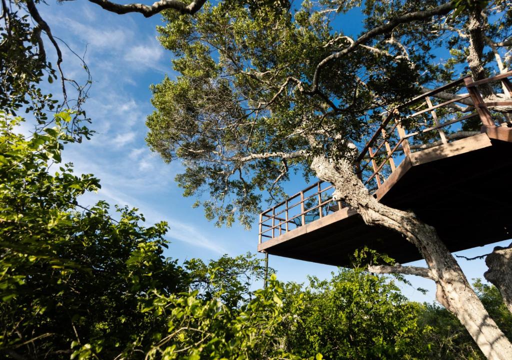 Tribe Yala - Luxury Camping photo 4
