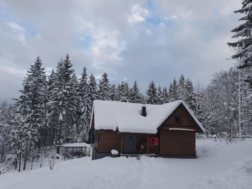 Starry Laz mountain house photo 2