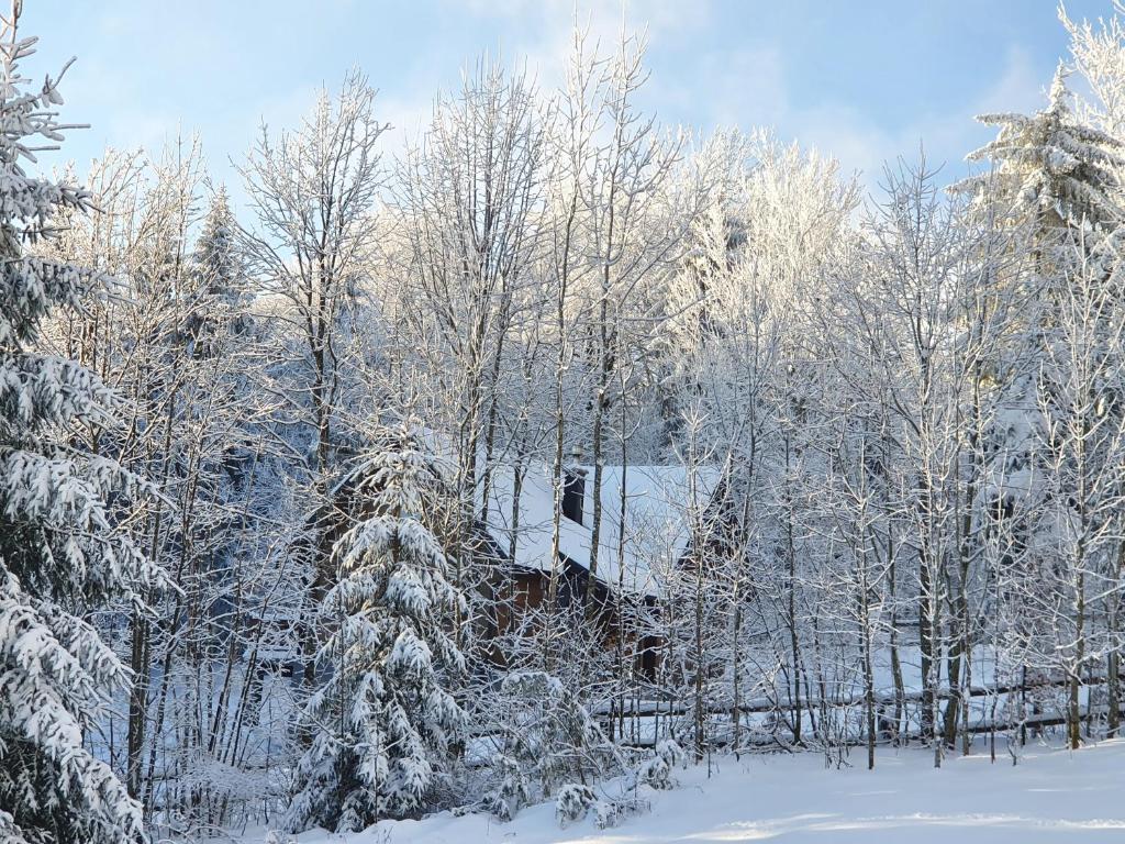 Starry Laz mountain house photo 4