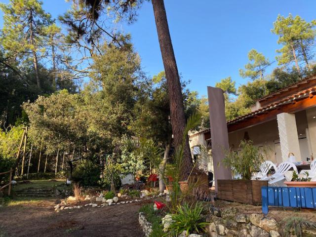 L'oasis des Tamaris photo 3
