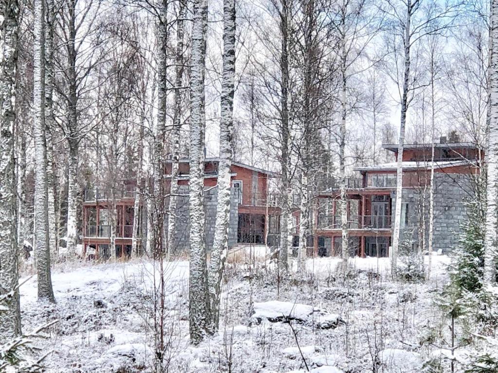 Villa Avara Ellivuori Finland photo 2