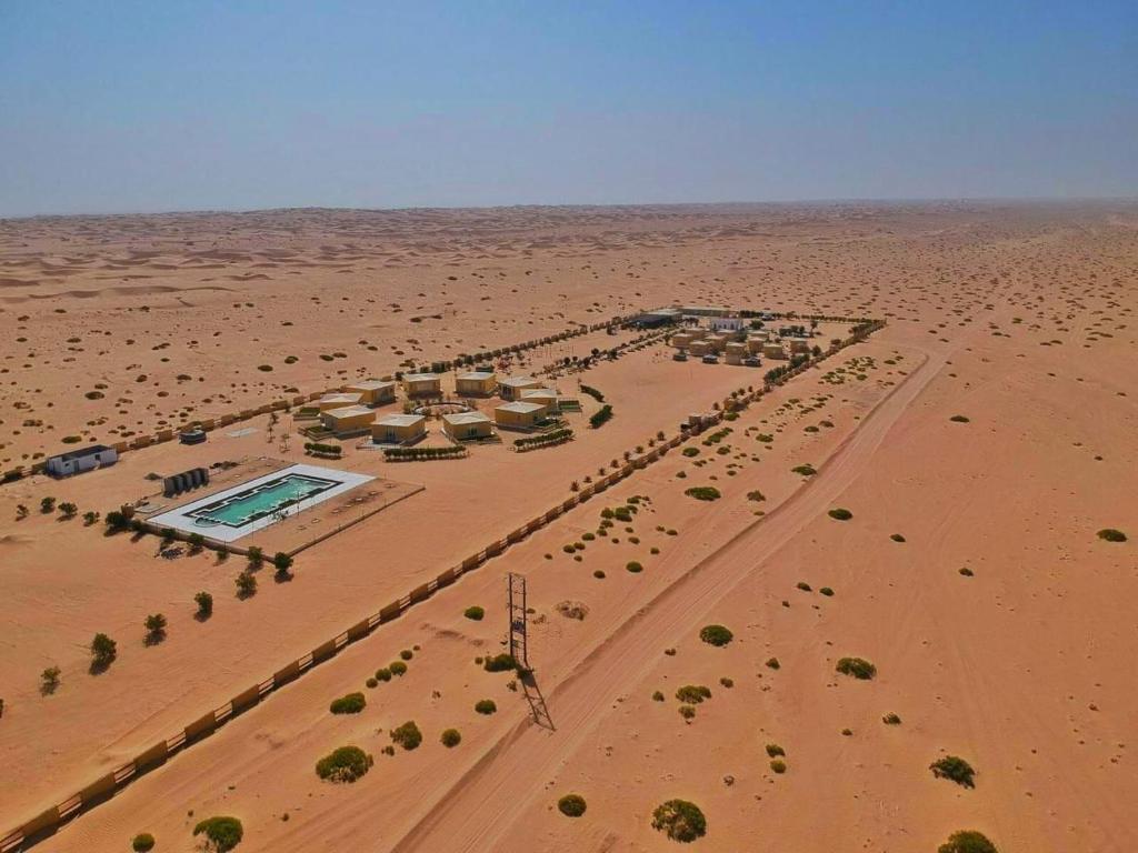 Golden Palm Oasis photo 1