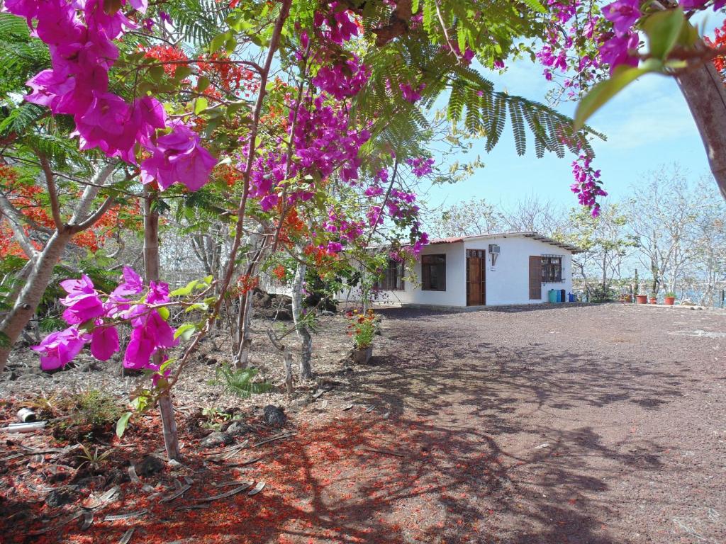 Casa Verde Vacation Garden Home photo 1